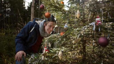 Checker Reportagen: Der Christbaum-Check