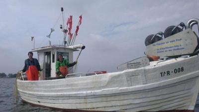 Checker Reportagen: Der Frische-Fische-Fischen-Check