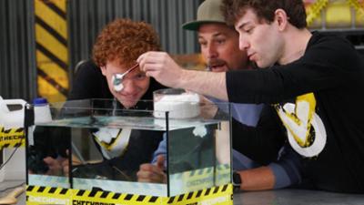 Checkpoint: Torten, Adleraugen und eine Salzexplosion