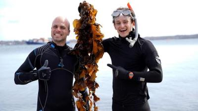 CheXpedition: Pflücke die grüne Klimaretterin!
