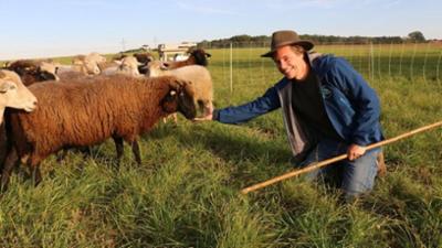 CheXperiment: Ausgebrochene Schafe einfangen?!