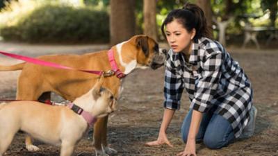 Club der magischen Dinge: 1. Ein magisches Missgeschick