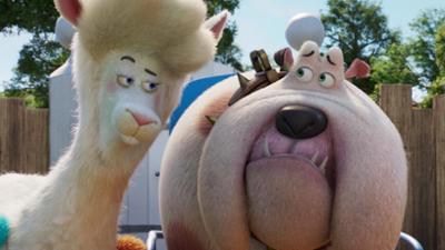 Coop Troop: Bertha-Superstar