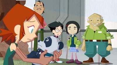 Das Green Team: Pandas in Gefahr