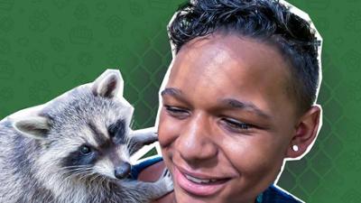 Das Tierschutzteam: 10. Wildtierstation