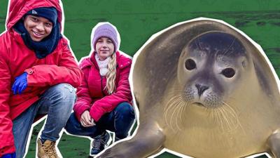 Das Tierschutzteam: 2. Seehundstation