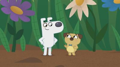 Der wunderliche Buchladen von Dog und Puck: 17. Die Geschichte von den Minitieren