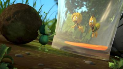 Die Biene Maja: 5. Willis Flasche