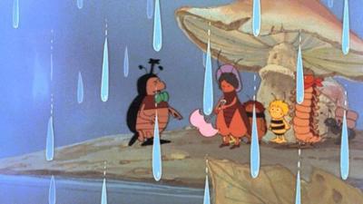 Die Biene Maja: 11. Maja und Iffi im Regen