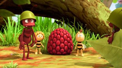 Die Biene Maja: 42. Pauls Himbeere