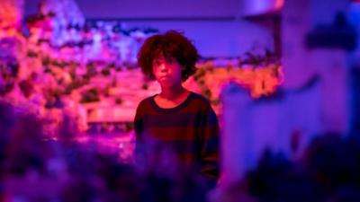 Die Pfefferkörner: 209. Wunderland