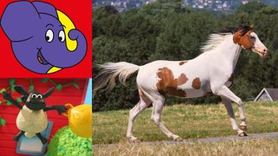 Die Sendung mit dem Elefanten: Wie läuft ein Pferd?