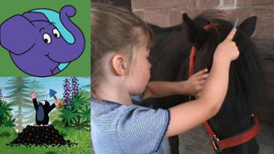 Die Sendung mit dem Elefanten: Wie striegelt man ein Pony?