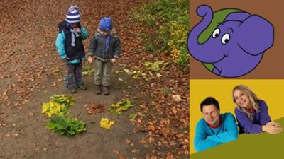 Die Sendung mit dem Elefanten: Bäume, Blumen, Blätter