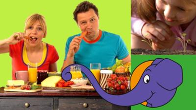 Die Sendung mit dem Elefanten: Wie wächst eine Möhre unter der Erde?