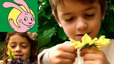 Die Sendung mit dem Elefanten: Wie viele Blätter hat eine Blume?