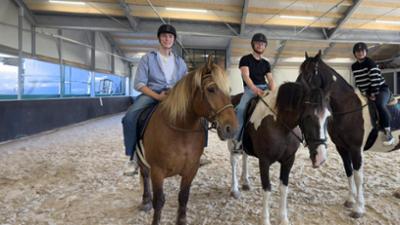 Die WG: 5. Sturz im Galopp