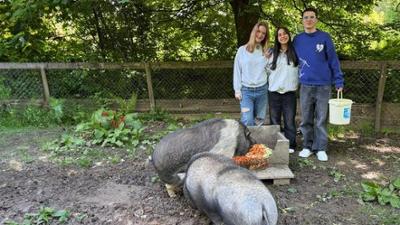 Die WG: Wellness für die Schweinchen