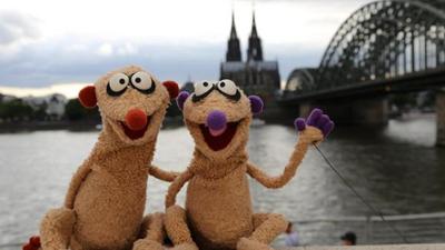 Ein Fall für die Erdmännchen: Das Wunder von Köln
