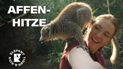 Elefant, Tiger & Kids: 15. Erdmännchen-Alarm