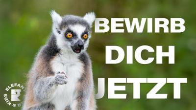 Elefant, Tiger & Kids: "Elefant, Tiger & Kids" sucht dich!