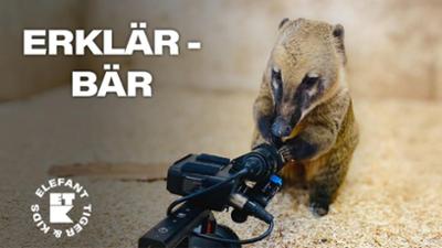 Elefant, Tiger & Kids: 11. Von Eseln und Wölfen