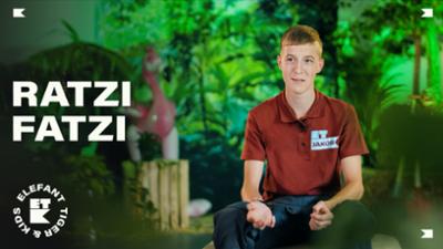 Elefant, Tiger & Kids: 8. Viele Hände, schnelles Ende