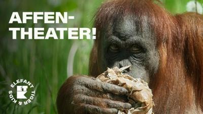 Elefant, Tiger & Kids: Folge 49: Torten für die Affen! (S04/E09)