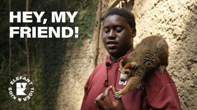 Elefant, Tiger & Kids: Folge 51: Wenn der Tapir zweimal sabbert...! (S04/E11)