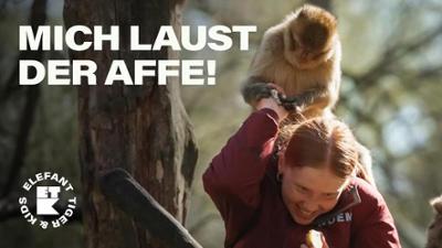 Elefant, Tiger & Kids: 8. Pony im Fahrstuhl!