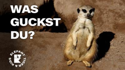 Elefant, Tiger & Kids: 15. Erdmännchen-Alarm