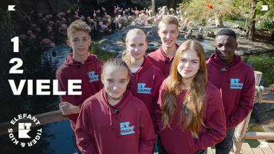 Elefant, Tiger & Kids: 9. Die Einbein-Challenge