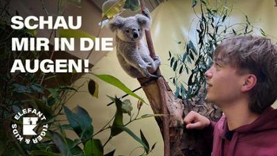 Elefant, Tiger & Kids: Folge 45: Häng nicht so faul rum! (S04/E05)