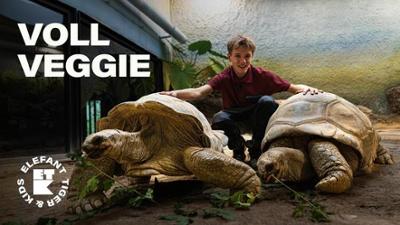 Elefant, Tiger & Kids: Folge 43: Alter vor Schönheit! (S04/E03)