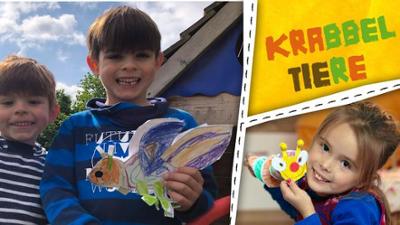 ENE MENE BU: Käfer, Spinnen und Raupen - wir basteln Krabbel-Tiere