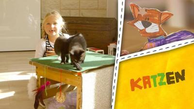 ENE MENE BU: Katzen - Wir bauen einen Kratzbaum und basteln Katzen