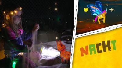 ENE MENE BU: Nacht - Laterne, Nachtwanderung und nachtaktive Stinktiere