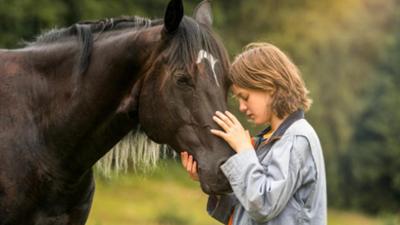 Filme: Ostwind 4 - Aris Ankunft