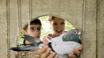 Filme: Pik & Amadeus - Freunde wider Willen