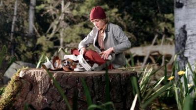 Filme: Nils Holgerssons wunderbare Reise, 2. Die Bewährung