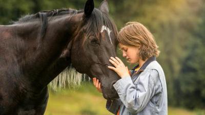 Filme: Ostwind 4 - Aris Ankunft