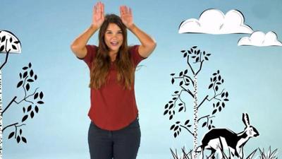 Frag Anna: Schmetterling, Wasserschwein, Rabe
