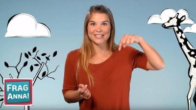 Frag Anna: Pelikane, Flusspferde, Giraffen