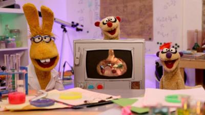 Jan & Henry - Die Fragenforscher: Pupsen