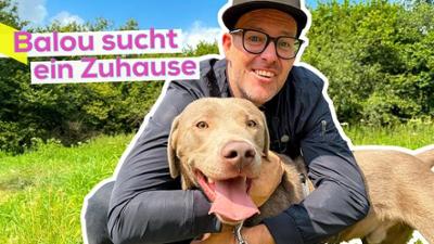 KiKA LIVE: Bark Date: Ben sucht ein Zuhause für Balou