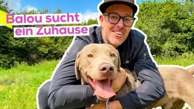 KiKA LIVE: Bark Date: Ben sucht ein Zuhause für Balou KiKA LIVE: Bark Date: Ben sucht ein Zuhause für Balou