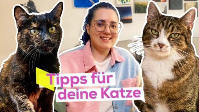KiKA LIVE: So machst du deine Katze glücklich