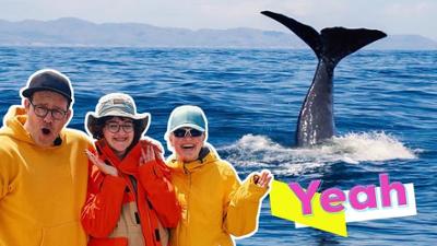 KiKA LIVE: Reise zu den Walen und Delfinen, Tag 1