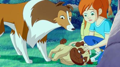 Lassie: Der geheime Garten