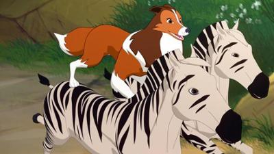 Lassie: Die Hauptattraktion